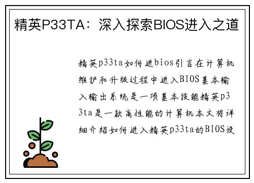 精英P33TA：深入探索BIOS进入之道